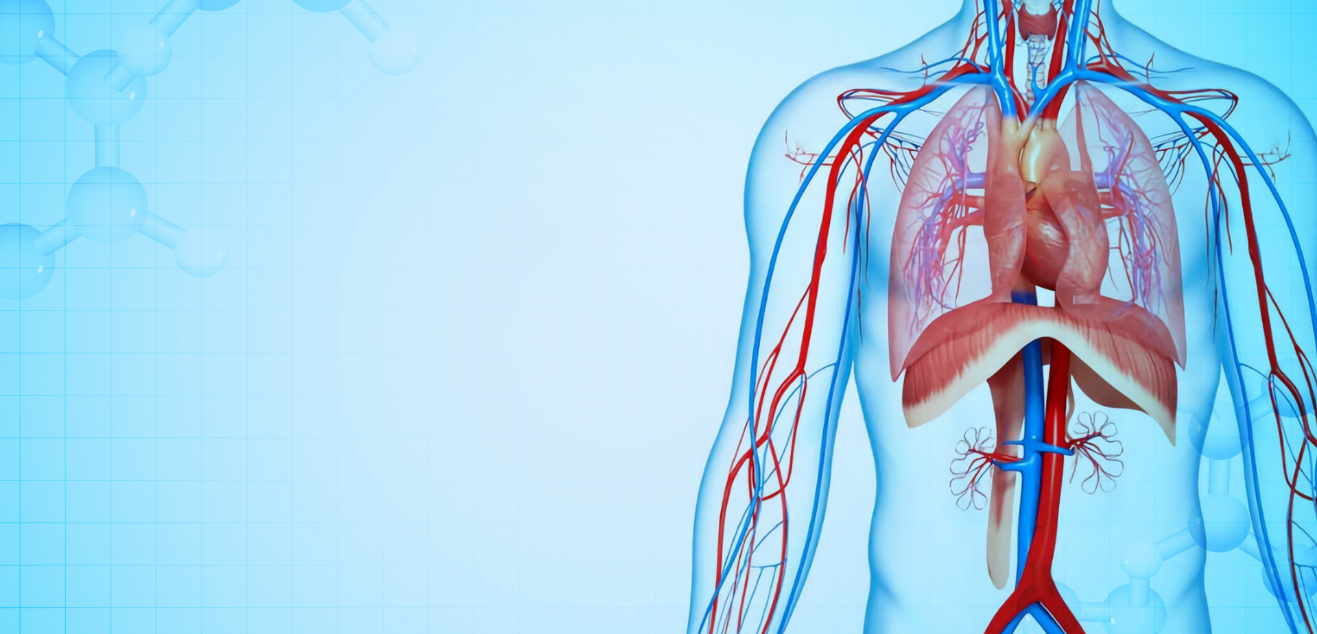 NINGBO LINSTANT POLİMER MALZEMELERİ CO. LTD.