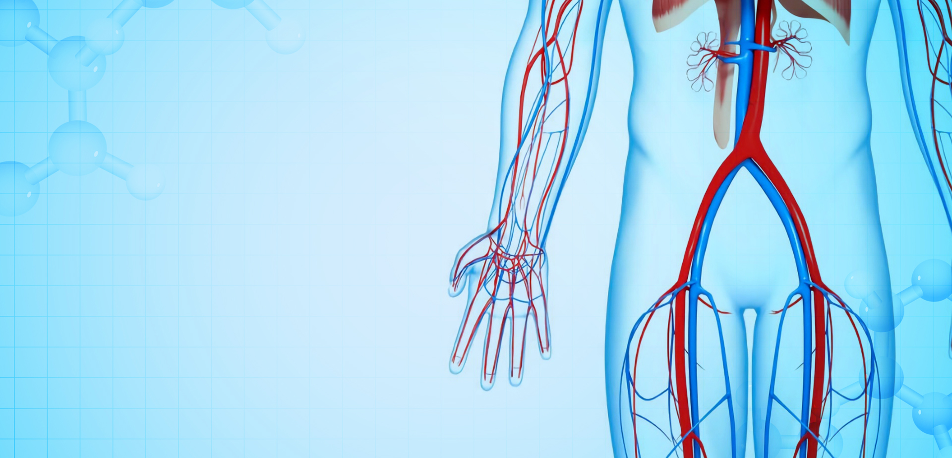 NINGBO LINSTANT POLİMER MALZEMELERİ CO. LTD.