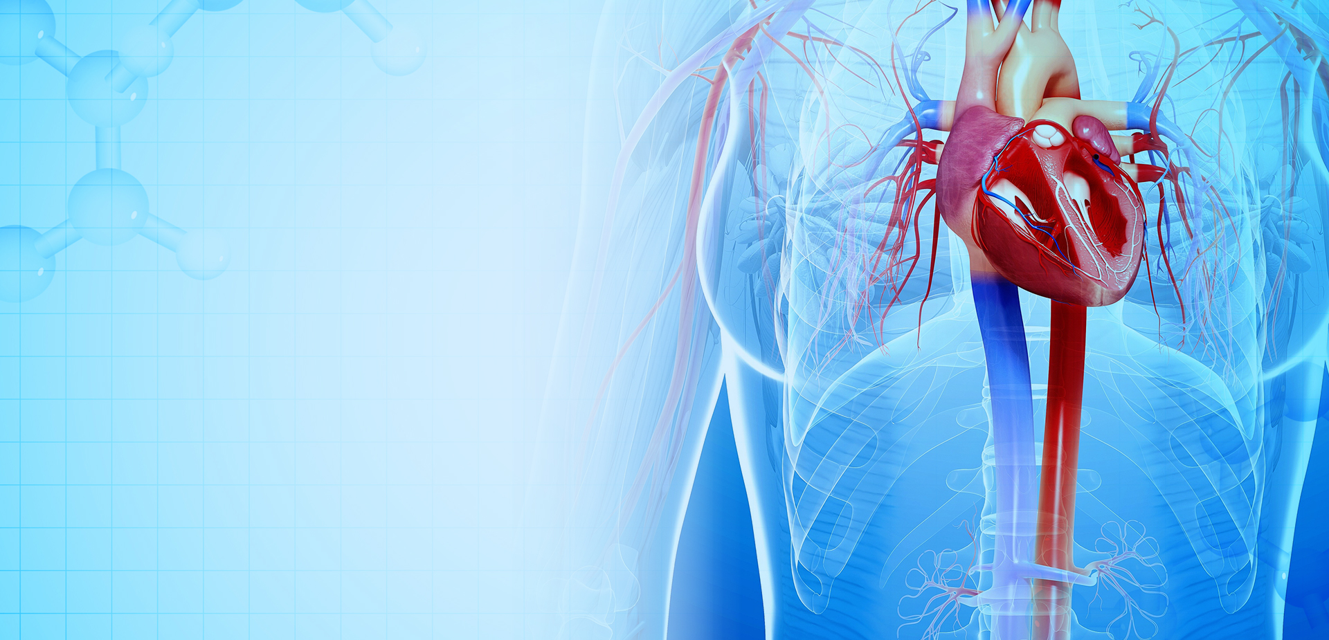 NINGBO LINSTANT POLİMER MALZEMELERİ CO. LTD.