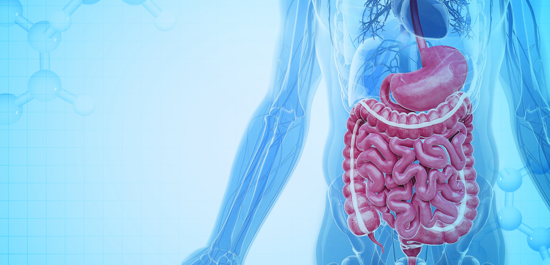 NINGBO LINSTANT POLİMER MALZEMELERİ CO. LTD.