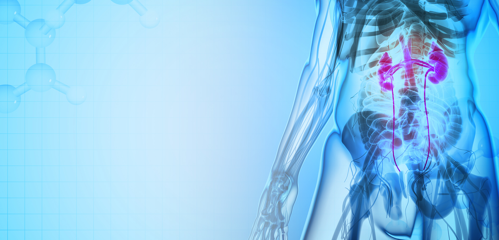 NINGBO LINSTANT POLİMER MALZEMELERİ CO. LTD.