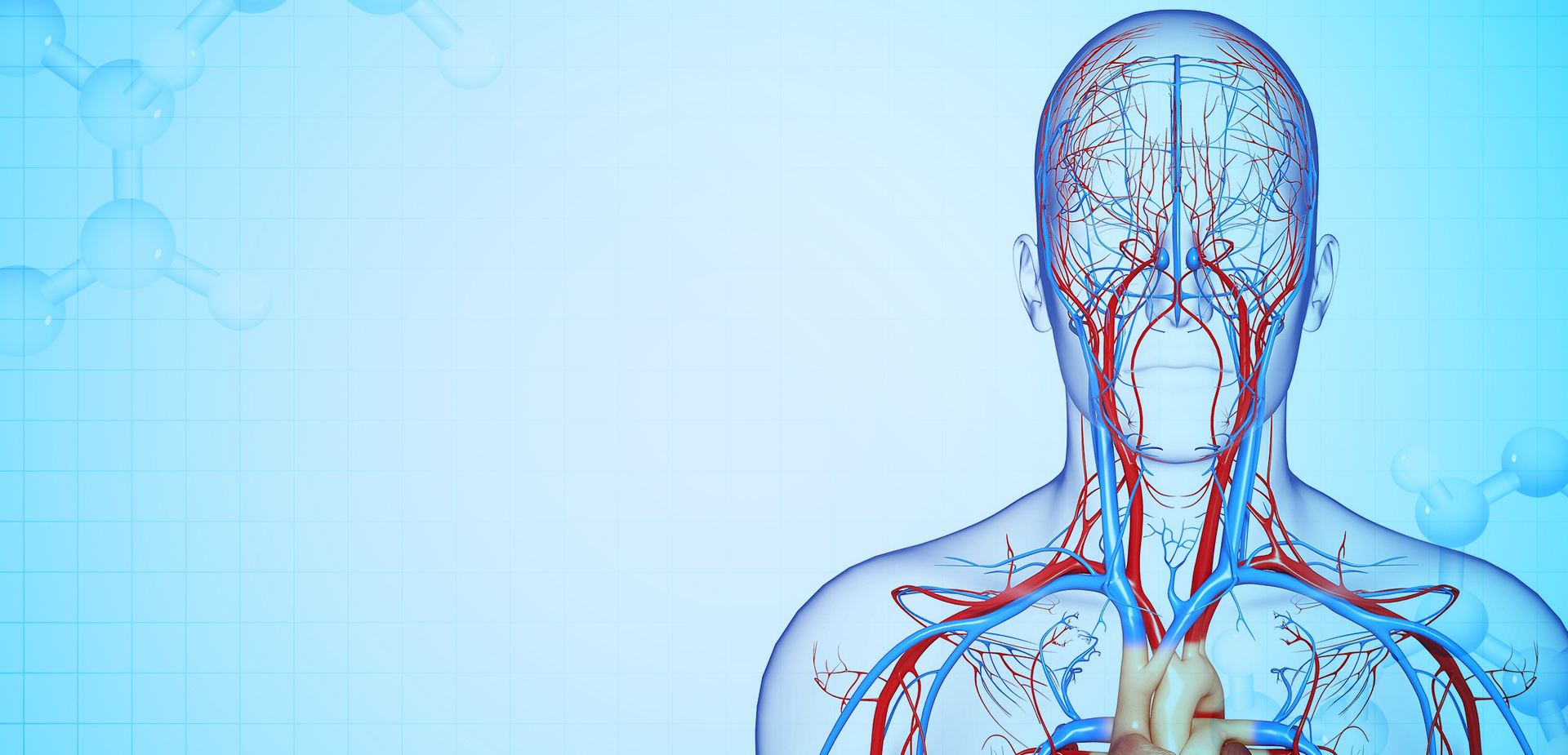 NINGBO LINSTANT POLİMER MALZEMELERİ CO. LTD.